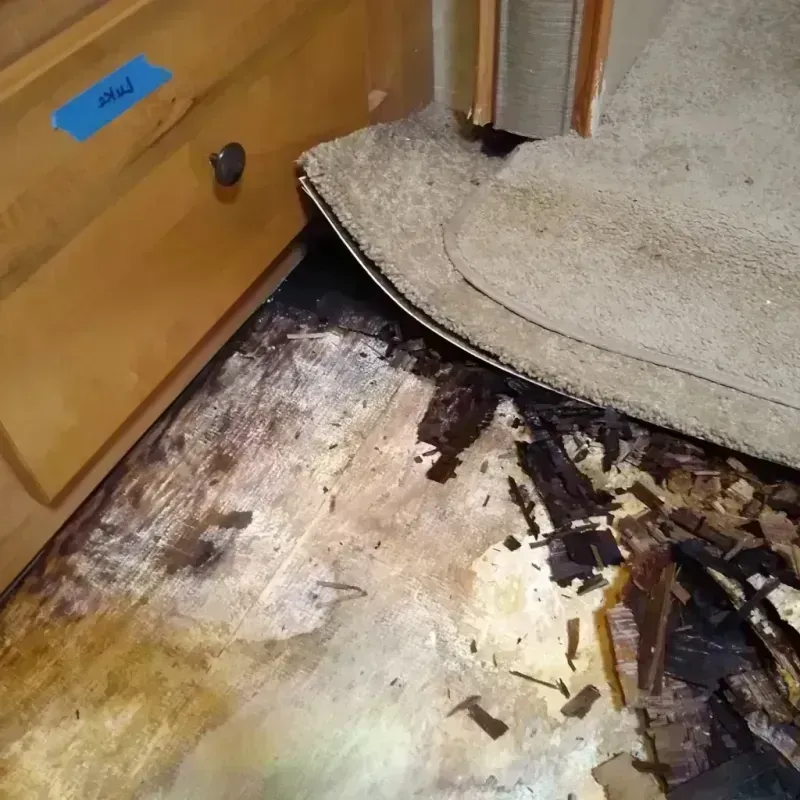 Best Wood Floor Water Damage Service in North Babylon, NY